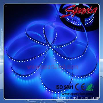 SMD3528  blue outdoor LED strip light 50M/reel